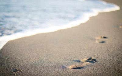 Primeros pasos para encontrar tu propósito de vida